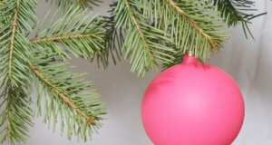 Frisch ins Neue Jahr - So werden Sie den Weihnachtsbaum am besten los