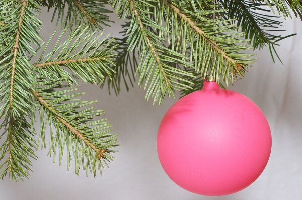 Frisch ins Neue Jahr - So werden Sie den Weihnachtsbaum am besten los
