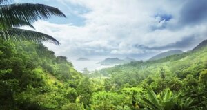 Dschungelcamp 2016 – Ihr Urlaub im Dschungel