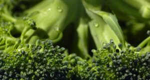 Neues Brokkoli-Extrakt hilft bei Diabetes