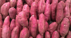 Kartoffel vs. Süßkartoffel: Das Küchenduell