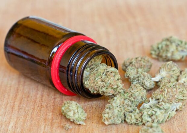 Cannabis aus der Apotheke: Nachfrage nach medizinischem Marihuana steigt