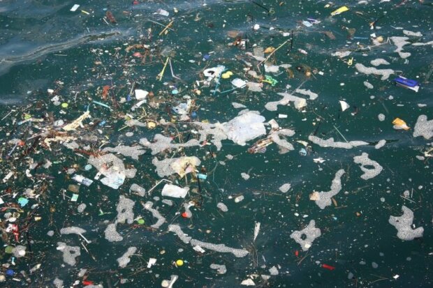 Plastikmüll im Mittelmeer: Diese Länder sind Hauptverursacher
