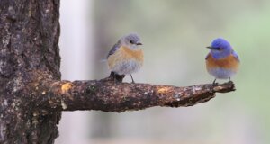 Zeit zu zwei ist wichtig für Eltern. Damit die Beziehung lebendig bleibt.