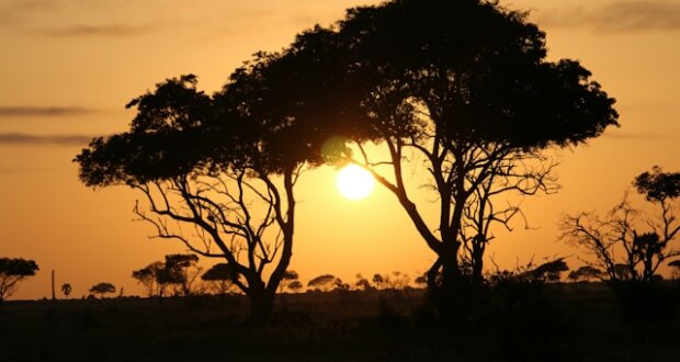 Uganda in Südafrika ist für jeden Reisetyp geeignet. Es bietet viel.