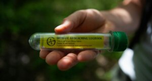 Geo-Caching ist für viele Altersgruppen gut geeignet und macht Spaß. Man sucht zusammen die sog. Caches, kleine "Schätze". unsplash-martin-lostak-xxk5li0MRB4