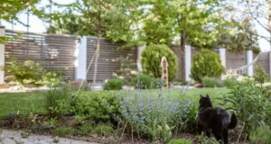 Sichtschutz im Garten ist wichtig, um Privatsphäre zu haben und damit es gemütlich ist.
