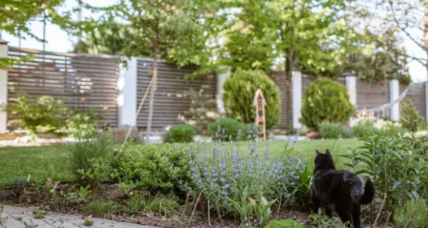 Sichtschutz im Garten ist wichtig, um Privatsphäre zu haben und damit es gemütlich ist.