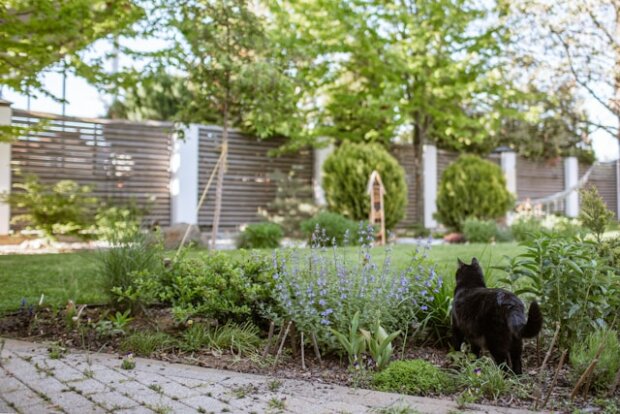 Sichtschutz im Garten ist wichtig, um Privatsphäre zu haben und damit es gemütlich ist.
